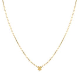 Ketting met gevlamd klavertje