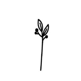 Flower 5
