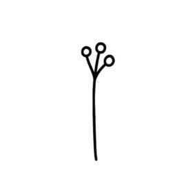 Flower 6