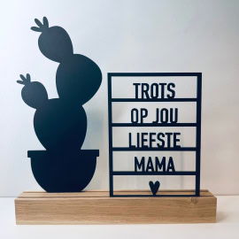 Trots op jou liefste mama + plant 2 (Kant-en-klaar)