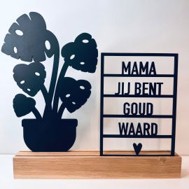 Mama jij bent goud waard + plant 4 (Kant-en-klaar)