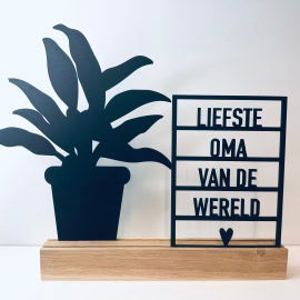 Liefste oma + plant 3 (Kant en klaar)