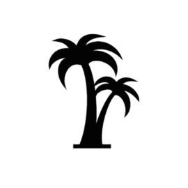 palmboom