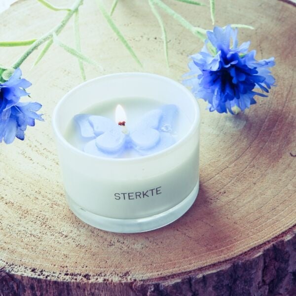 SOJAKAARS - STERKTE - Afbeelding 4