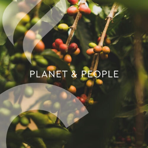 Alles over koffiebonen