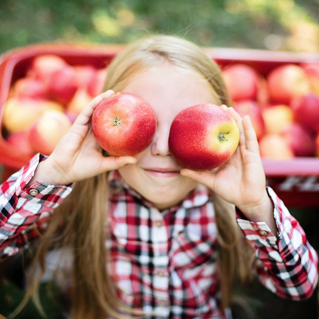 A smiling child holds two apples in front of her eyes in an orchard, surrounded by fresh fruit.