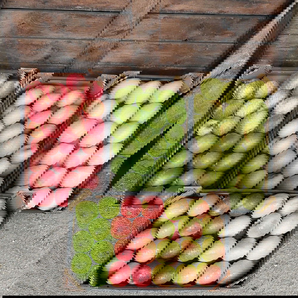 Verschillende appelsoorten zijn ordelijk verdeeld over 4 dozen, en worden verkocht in de landwinkel van Almakúti.