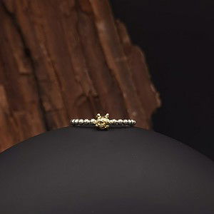 ring met rots