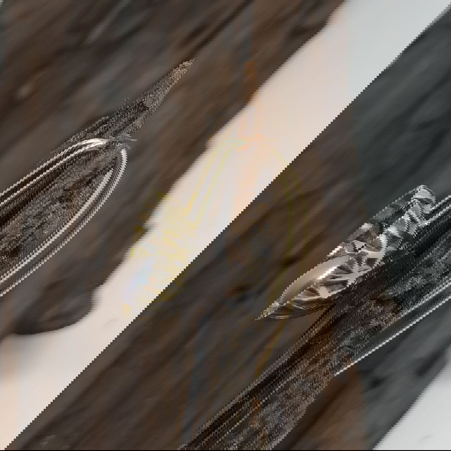 Sphere met grijze parel - Afbeelding 3