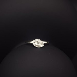 ring met blad