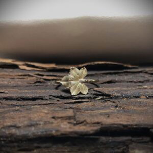 Gouden ring met druivenblad