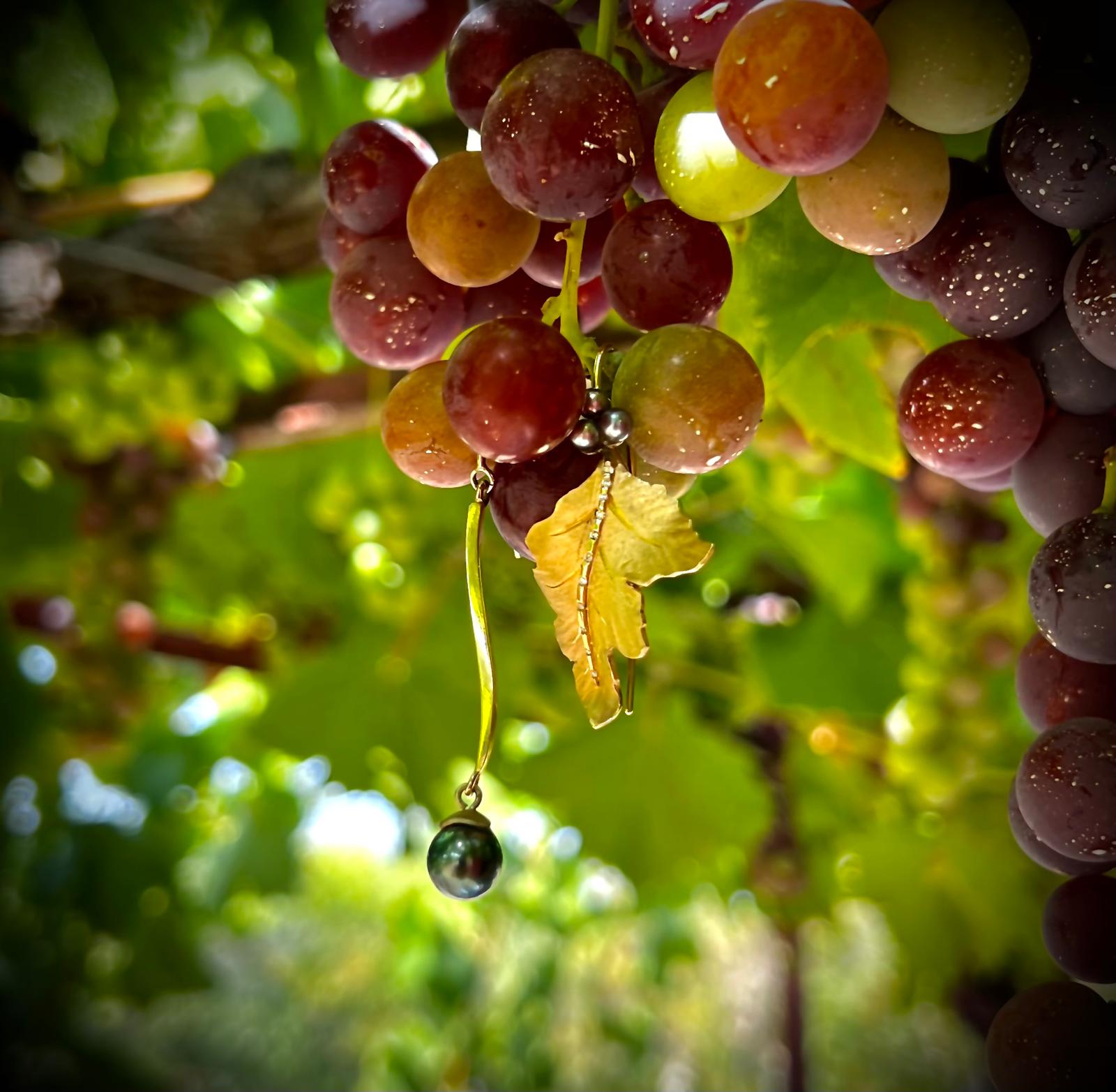 Bladoorbellen in Frankrijk