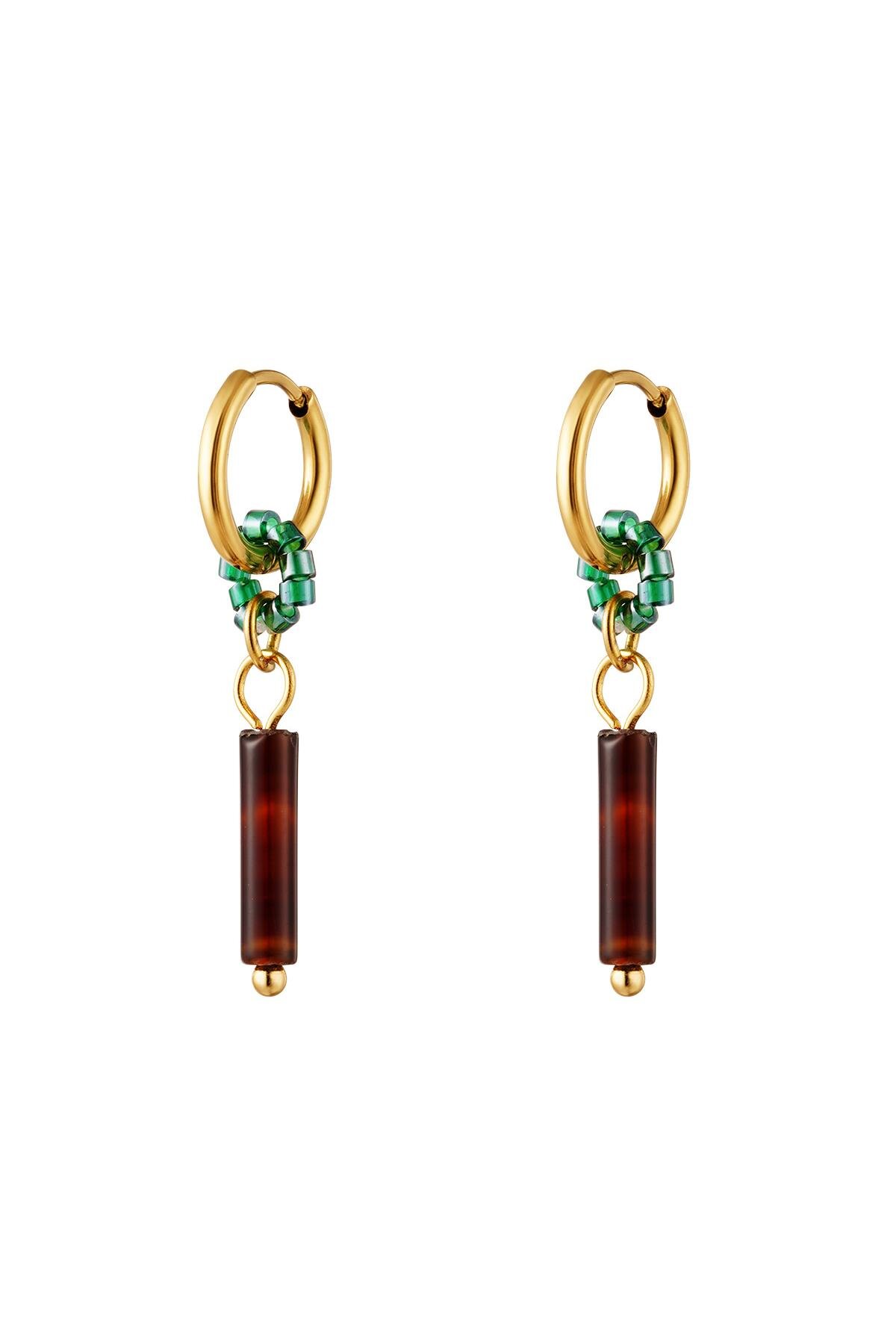 Oorbellen gekleurde steen bruin