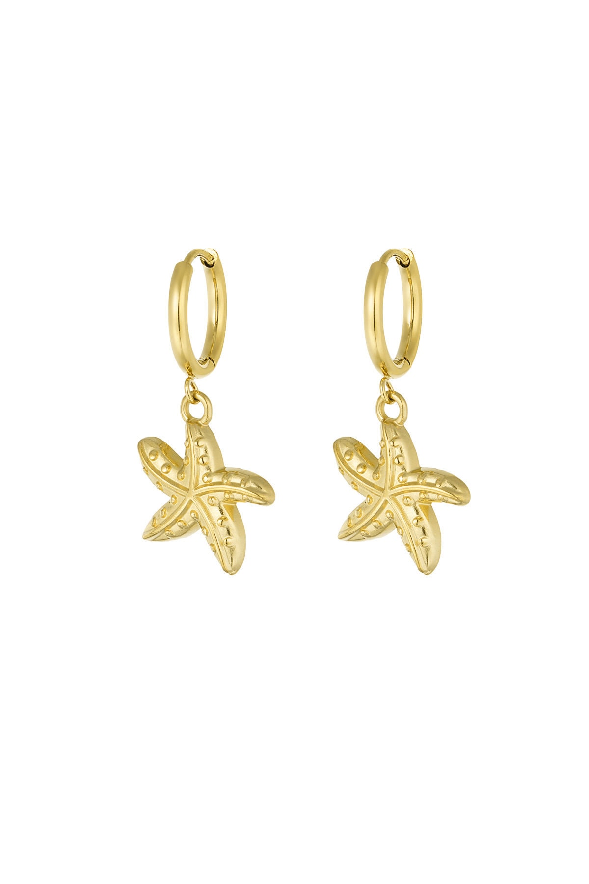 Oorbellen zeester goud