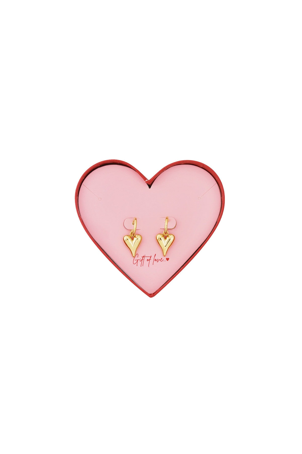 Gift of love Stainless steel hart oorbellen