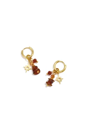Stainless Steel Beads Earrings Stars bruin