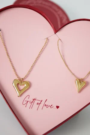 Gift Of Love Stainless Steel Double Hearts Necklaces Giftbox