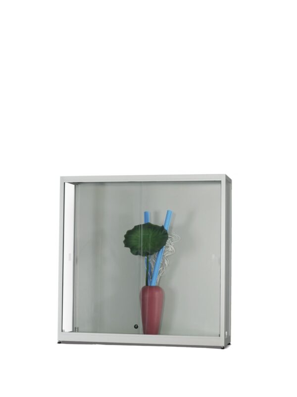 Vitrine Aston-1000 zilver STAAND