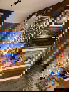 disney vitrine verzameling de vitrinefabriek