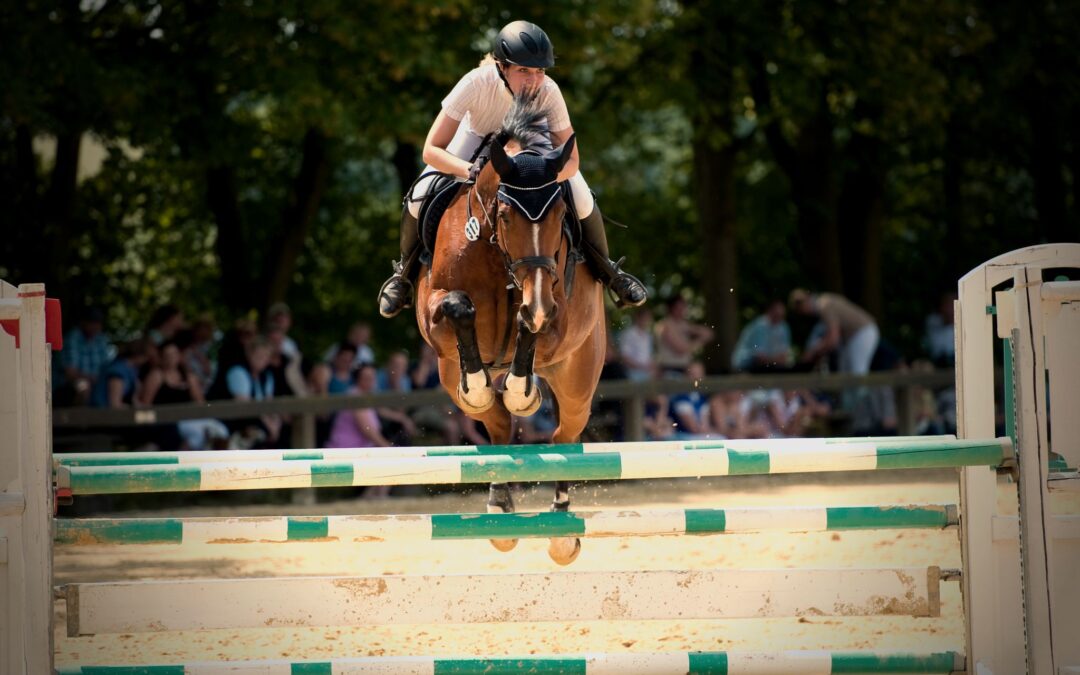 5 tips om je paard hoger te laten springen