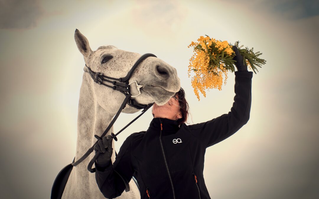 5 oefeningen aan de hand om je paard soepeler te maken
