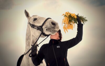 5 oefeningen aan de hand om je paard soepeler te maken