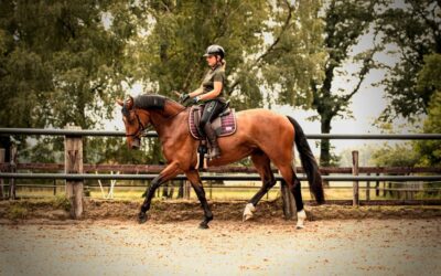 What influence does the rider have on a horse’s balance?