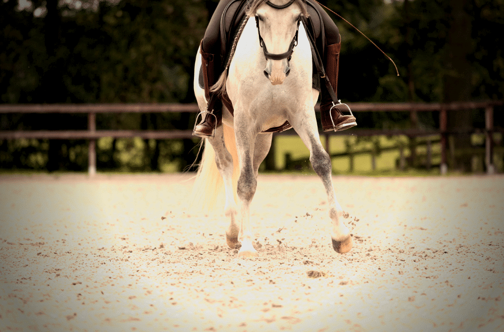 4 advanced exercises to straighten your horse