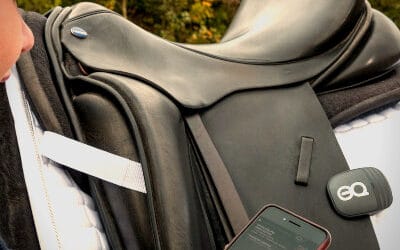 What Does a Straight Dressage Test Mean and How Can I Achieve It With Data?