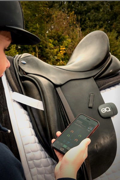 What Does a Straight Dressage Test Mean and How Can I Achieve It With Data?