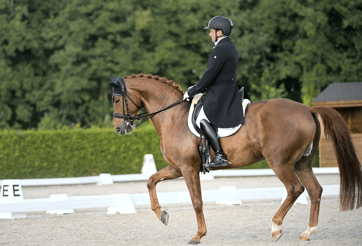 Nuno Avelar riding horse with Equestic SaddleClip