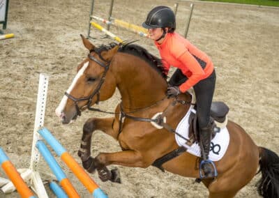 Equestic Club challenges