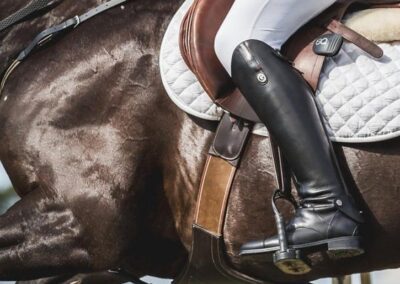 Jumping with Equestic SaddleClip