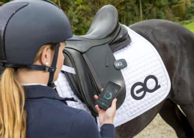 Equestic daily ride