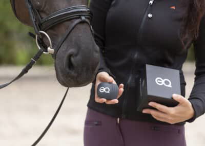 Equestic for traning