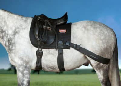 Complete Equiband® Pro system - English