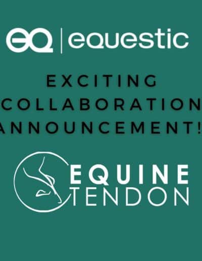 Equine Tendon global partnership with Equestic