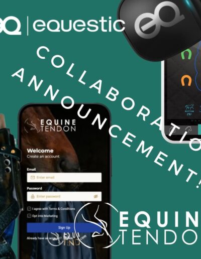 Equine Tendon global partnership with Equestic