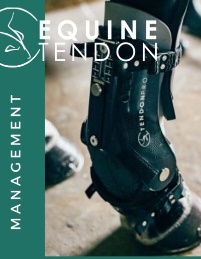 Equine Tendon global partnership with Equestic