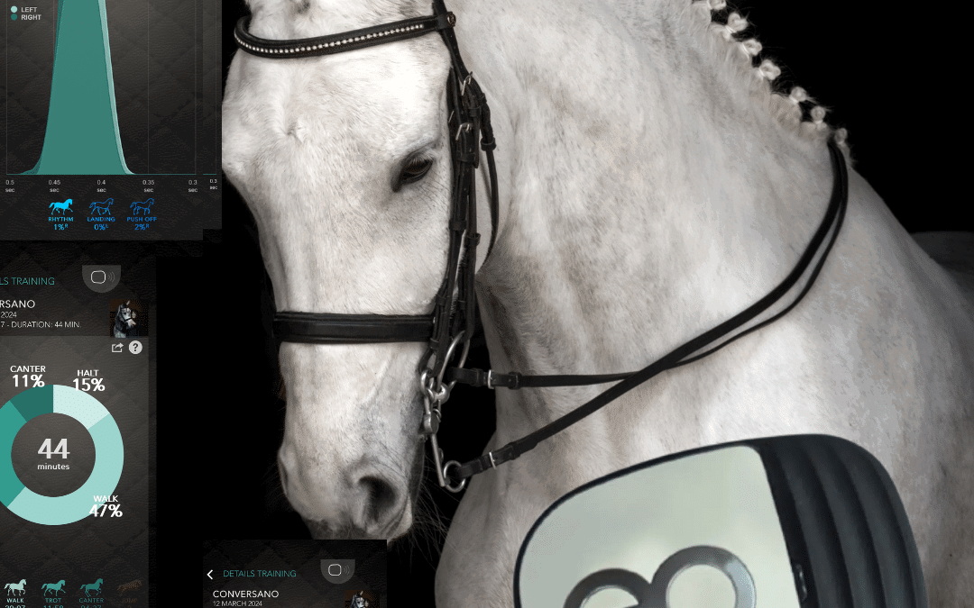 Preparing a Horse for Sale with SaddleClip