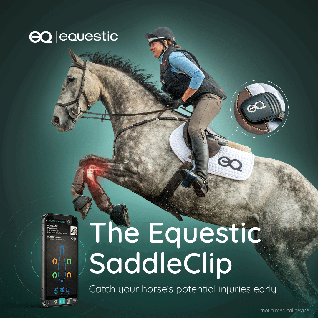 Lameness warning - Equestic SaddleClip