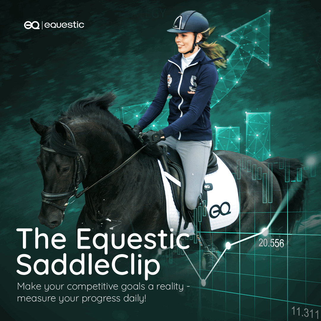 Horse Fit: Tracking Progress - SaddleClip