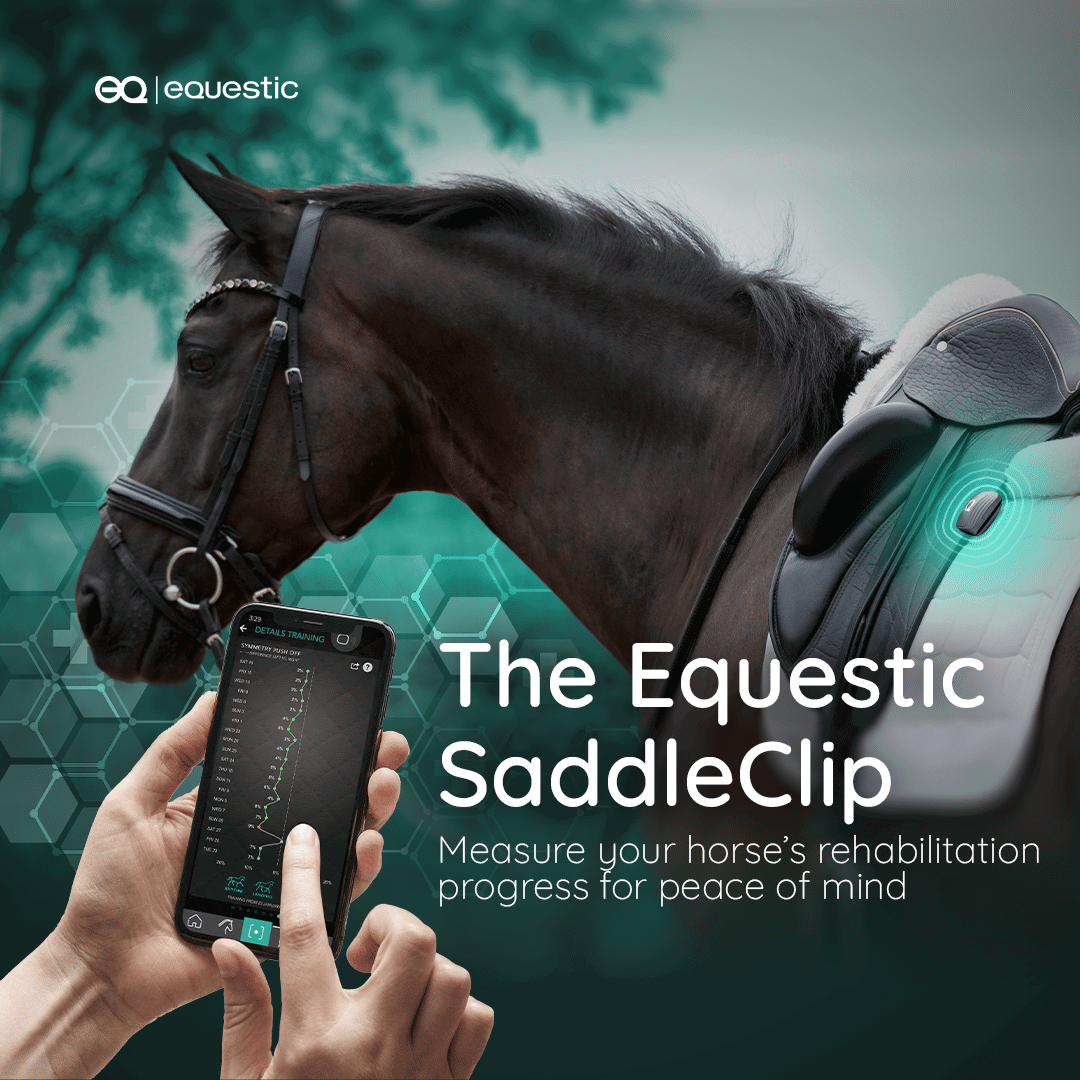 Structured Recovery and Rehab - Equestic
