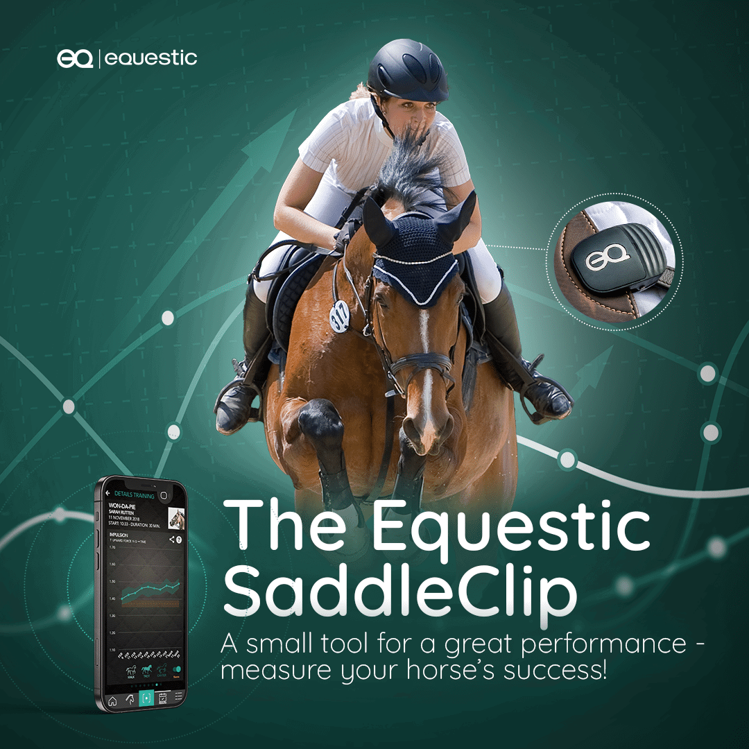 Ethical Training - Equestic SaddleClip