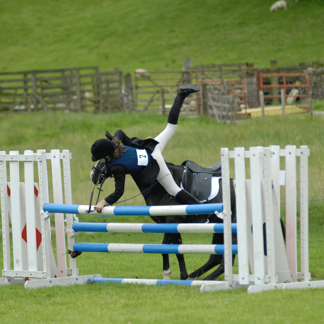 Sport- horse welfare - Equestic