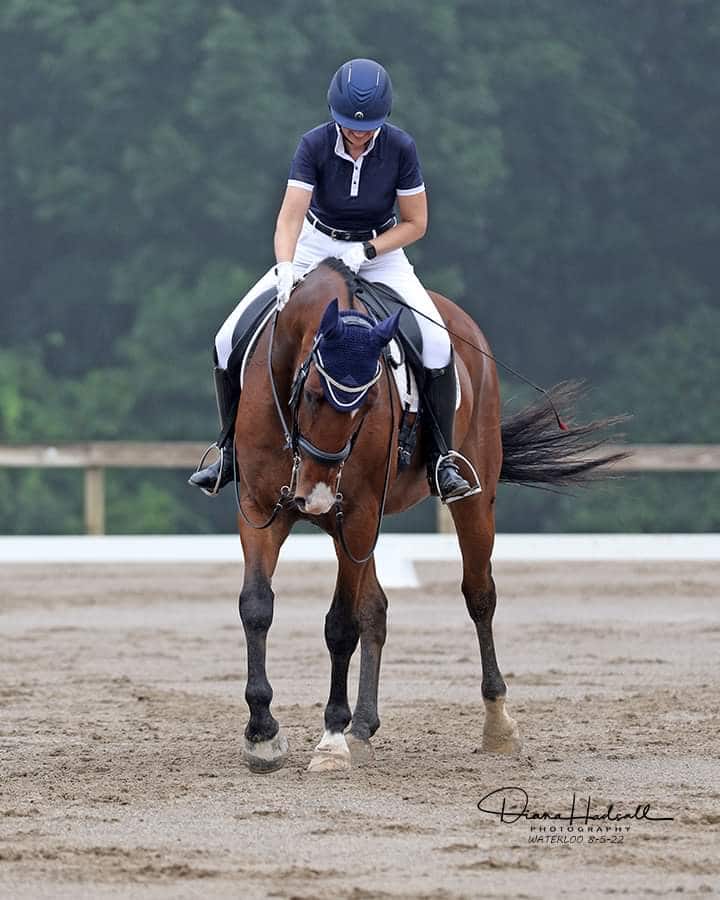 Dressage - Equestic SaddleClip