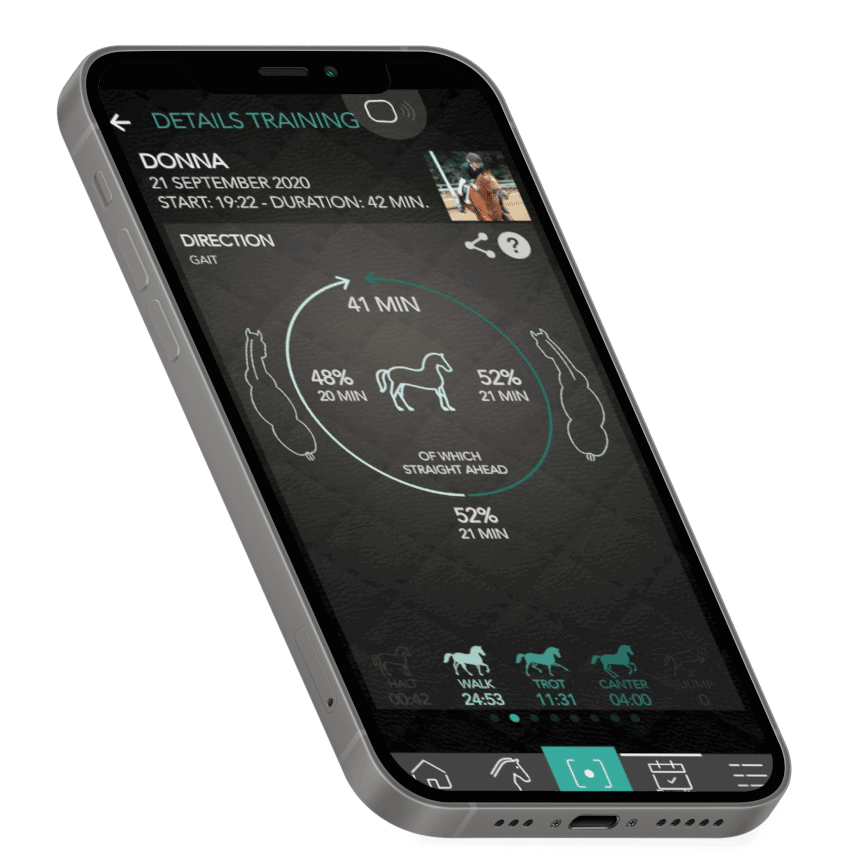 Close-up of Equestic App highlighting the balance in horse training to ensure consistent muscle tone and an even saddle fit.
