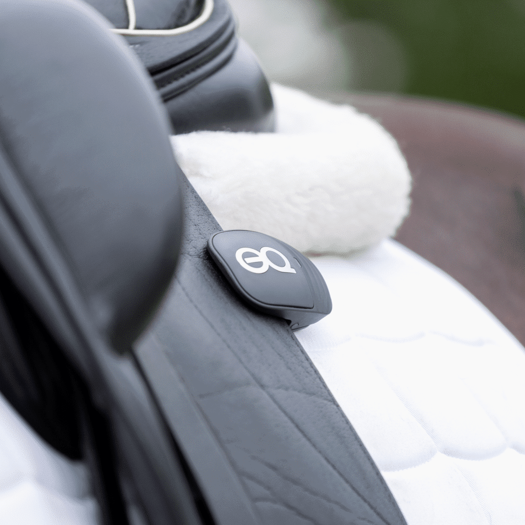 Close-up of a saddle with Equestic SaddleClip highlighting the importance of symmetry in horse training to ensure consistent muscle tone and an even saddle fit.