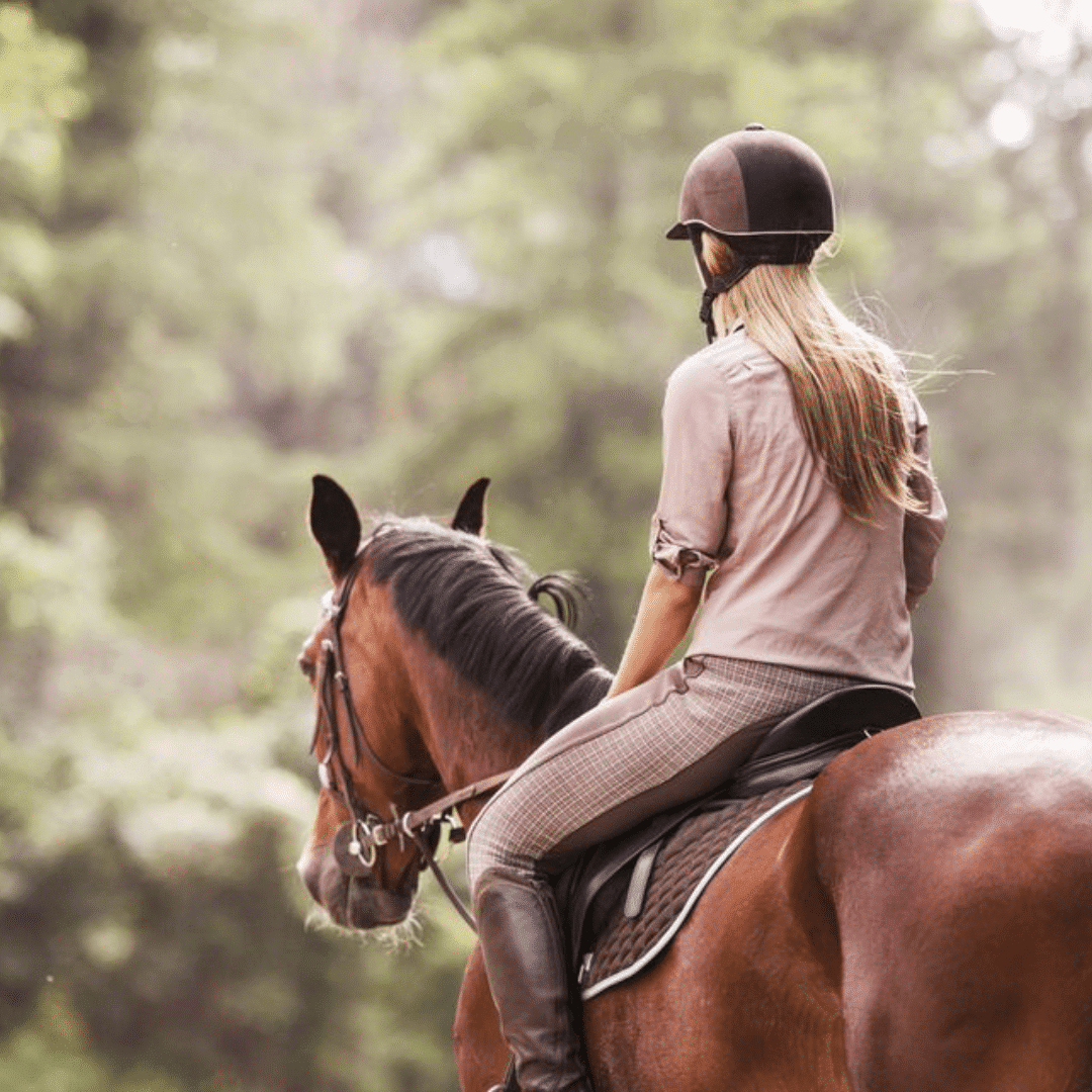 Rider cooling her horse down under saddle with relaxed, long-and-low walking exercises to encourage muscle recovery and relaxation