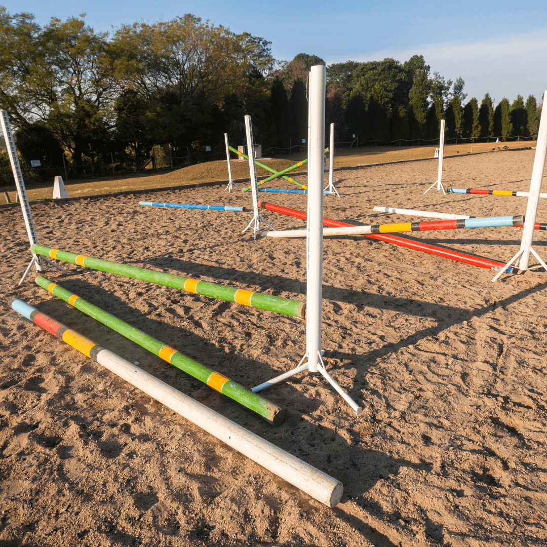 Gridword to Help Quality of Canter- Equestic